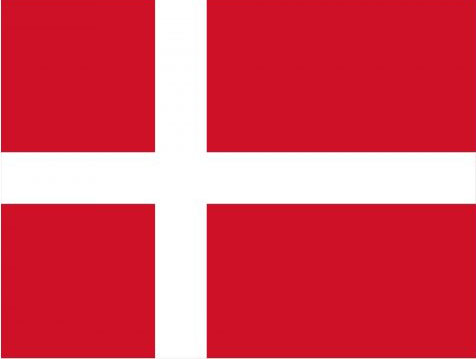 Z(y)g Danish