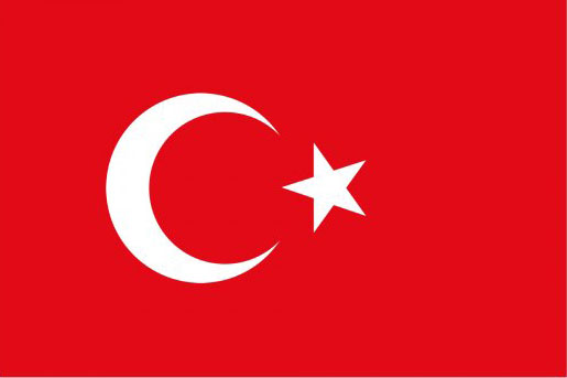 Z(y)g Turkish