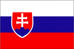 ˹工Z(y)g Slovak