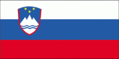 ˹၆Z(y)g Slovenian